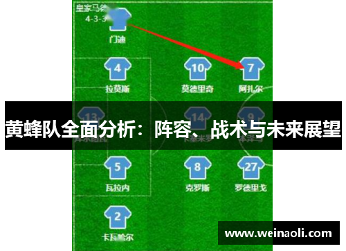 黄蜂队全面分析：阵容、战术与未来展望