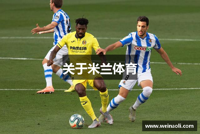 关于米兰体育